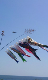 端午の節句 画像1