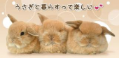 まとめてポン！ 画像1