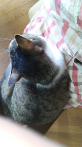 動けません! 画像1