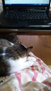 動けません! 画像2