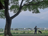 赤坂台総合公園コースを歩く 画像2