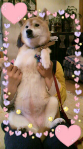 ☆やめてよして… 画像1