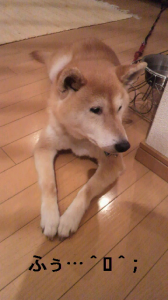 ☆やめてよして… 画像2