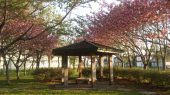 たこ公園 画像2