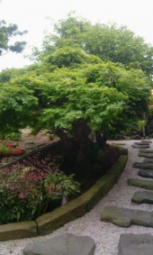 昨夜は・・・ 画像1