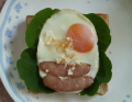 ナスタチウムⅡ