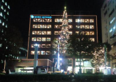クリスマスオーナメント 画像1