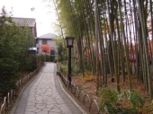旅行から戻ってまいりました！ 画像2