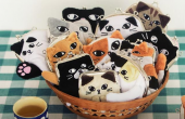 いろいろ 画像2