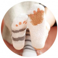 いろいろ