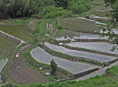 棚田の情景 画像1