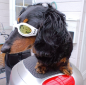 首が痛い～ 画像1