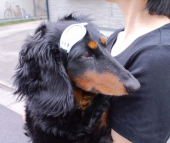 首が痛い～ 画像2