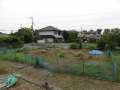 草刈優先：ウォーキングなし(:_;)