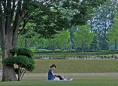 木陰で一休み 画像1