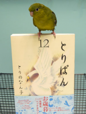 「とりぱん？」 画像3