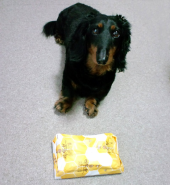 ＢＥＮＩ　いいねえ 画像1