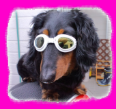 ＢＥＮＩ　いいねえ 画像2