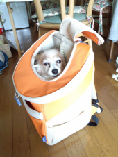 ☆これでしずかとサイクリング☆ 画像1