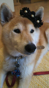 ☆過ぎたるは…? 画像1