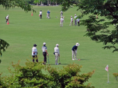 樹下の楽しみ 画像1