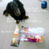 ウミガメ探検隊 画像3