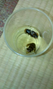 雨・・・・ 画像2