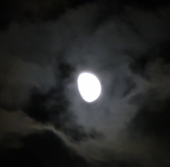 今月の反省 画像2