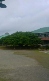 沖永良部島 画像1