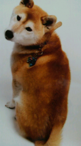 ☆どっちだぁ～？ 画像1