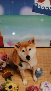 ☆どっちだぁ～？ 画像3