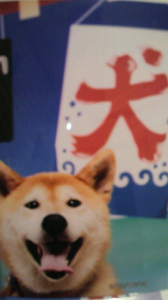 ☆棒ナスが・・？〈( ^.^)ノ　ホイサッサ 画像1