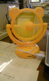 (22)熊本出張～ 画像2