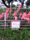 心配・・・・。