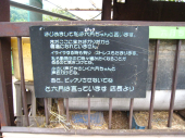no title 画像2