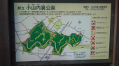 左右どっち？ 画像1
