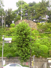 朝ラン♪ 画像3