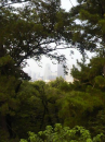 今日のお山♫