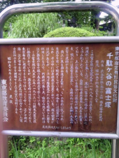 今日のお山♫ 画像3