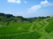 下赤坂の棚田 画像2