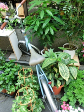 痛くない！ 画像2