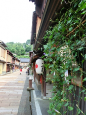 僕の走れなかった道 画像2