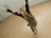 あれっ？ 画像1