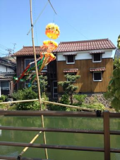 たなばた 画像1