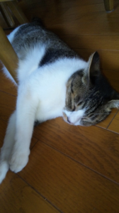 人生。 画像1