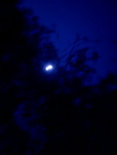 夜も。 画像2