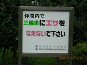 エサを与えないで下さい。 画像1