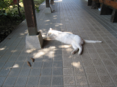 no title 画像1