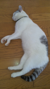 あまりにも・・・・ 画像1