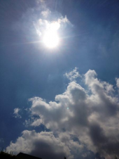 帰ってきたぞい! 画像1